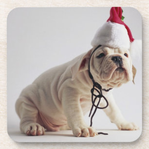 Posavasos Perrito del bulldog que lleva el gorra de Santa