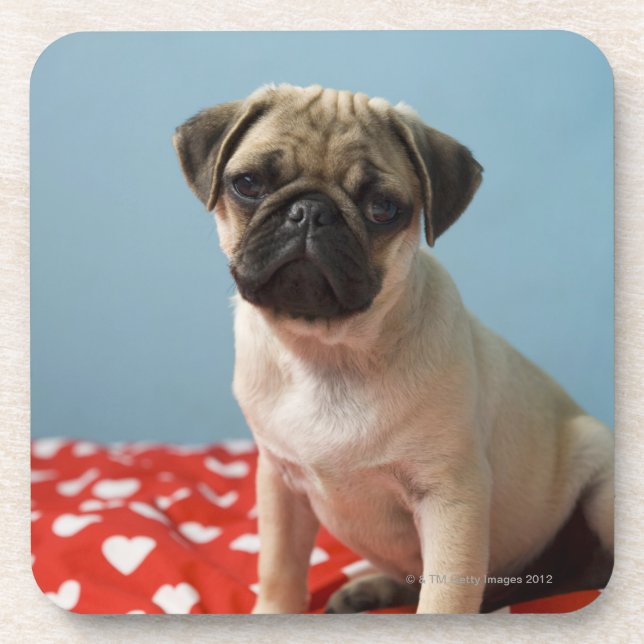 Posavasos Perrito del corazón del barro amasado (Frente)