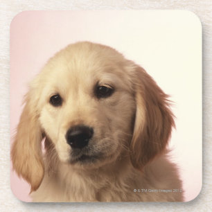 Posavasos Perrito del golden retriever