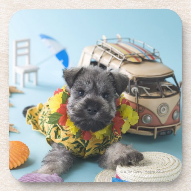 Posavasos Perrito del Schnauzer miniatura y vacaciones de (Frente)