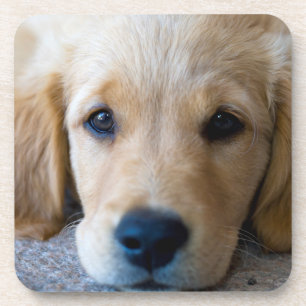 Posavasos Perrito dulce, dulce