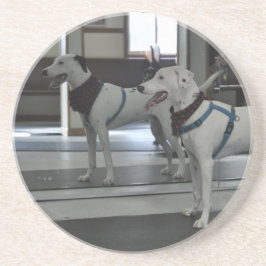 Posavasos Perrito en el espejo