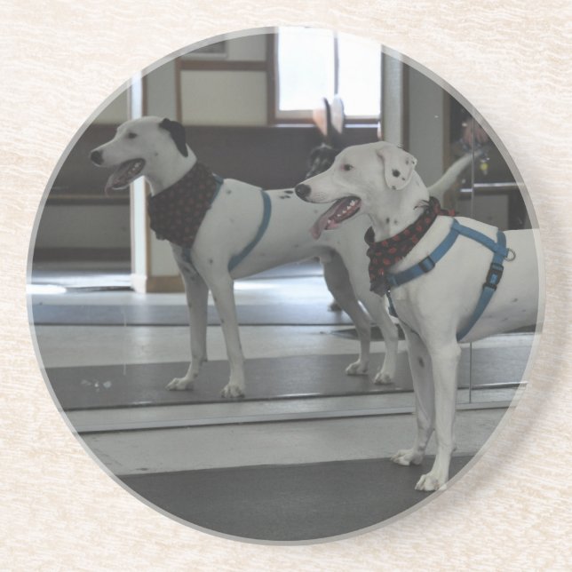 Posavasos Perrito en el espejo (Frente)