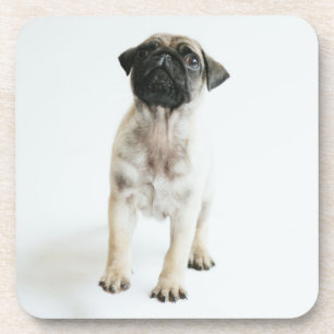 Posavasos Perrito lindo del barro amasado