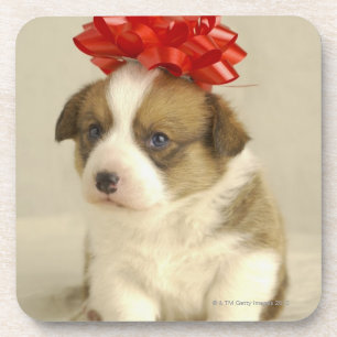 Posavasos Perrito que lleva un arco rojo