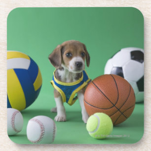 Posavasos Perrito rodeado por las bolas del deporte