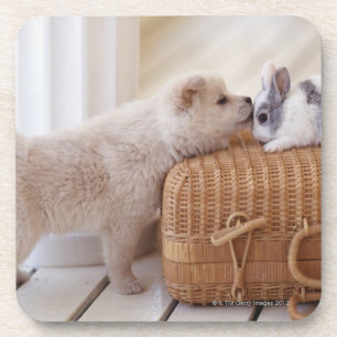 Posavasos Perrito y conejo