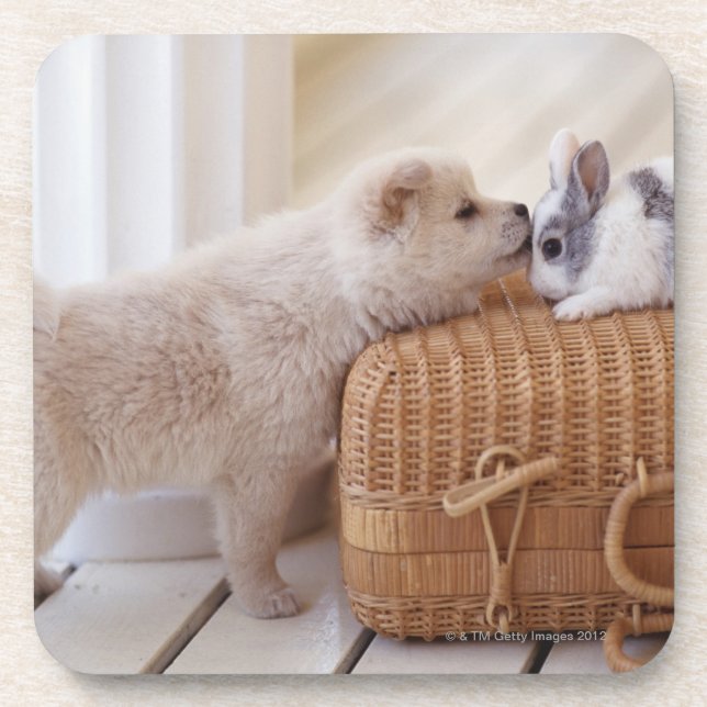 Posavasos Perrito y conejo (Frente)