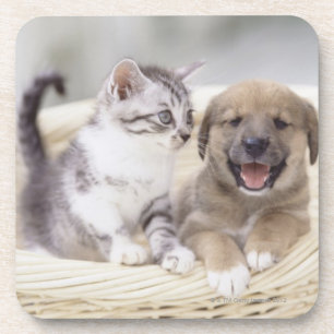 Posavasos Perrito y gato del bebé
