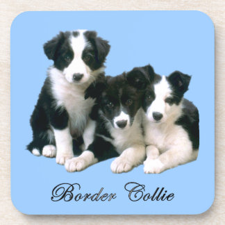 Posavasos Perritos del border collie