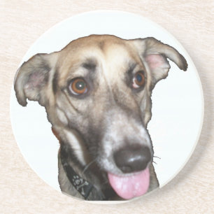 Posavasos Perro 2 Pascua