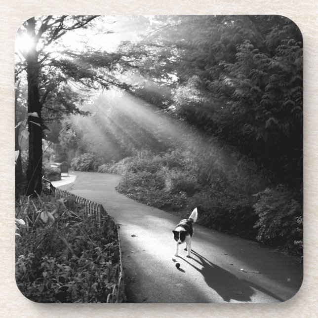 Posavasos Perro a la luz del sol matutino (Frente)