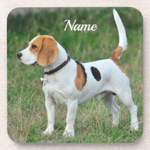 Posavasos Perro Beagle Hound personalizado