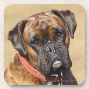 Posavasos Perro Brindle del boxeador