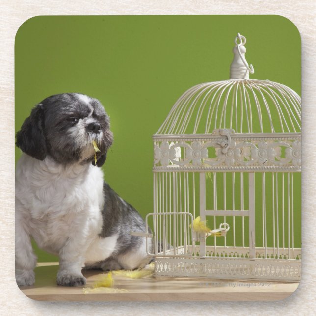 Posavasos Perro cerca de una jaula de pájaros (Frente)