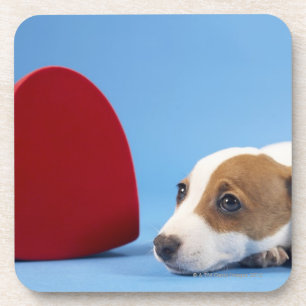 Posavasos Perro con el corazón