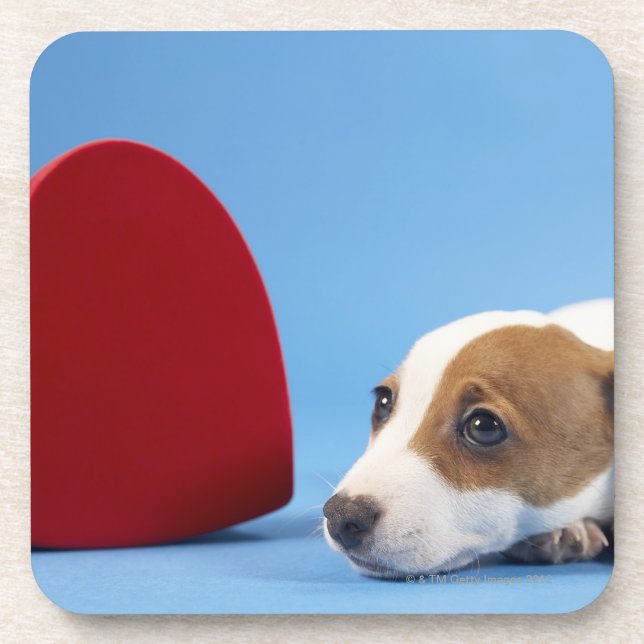 Posavasos Perro con el corazón (Frente)