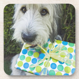 Posavasos Perro con el regalo en boca