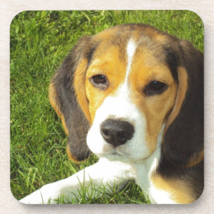 Posavasos Perro Cute