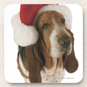 Posavasos Perro de afloramiento en el gorra de Santa