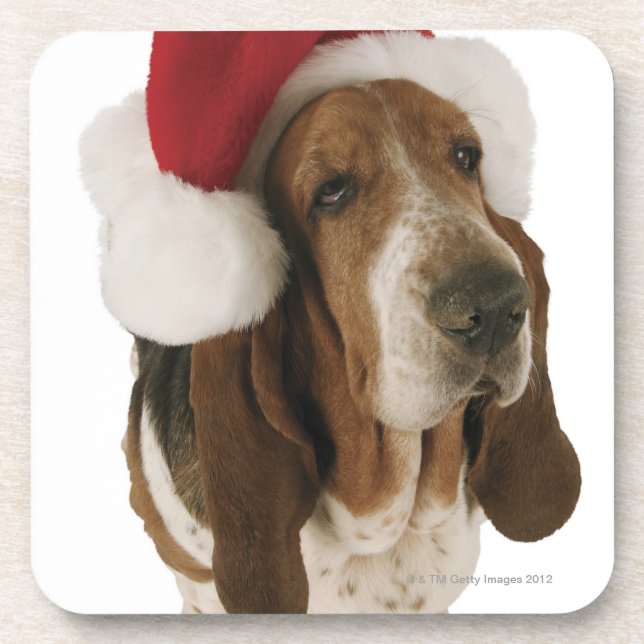 Posavasos Perro de afloramiento en el gorra de Santa (Frente)