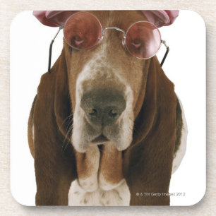 Posavasos Perro de afloramiento en gafas de sol y casquillo