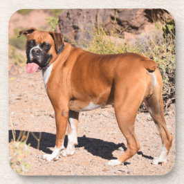 Posavasos Perro de cachorro Fawn y Boxer Blanco