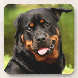 Posavasos Perro de cachorro negro y tan rotuiler