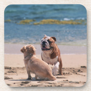 Posavasos Perro de la playa de Sandy