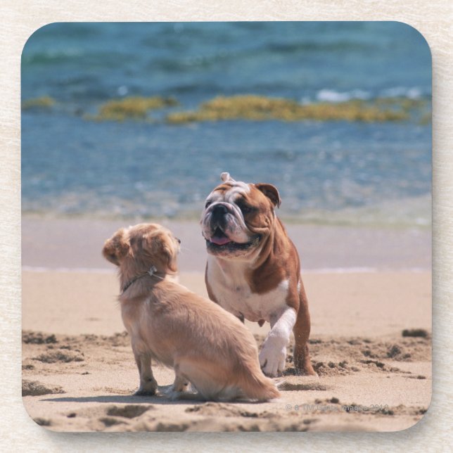 Posavasos Perro de la playa de Sandy (Frente)