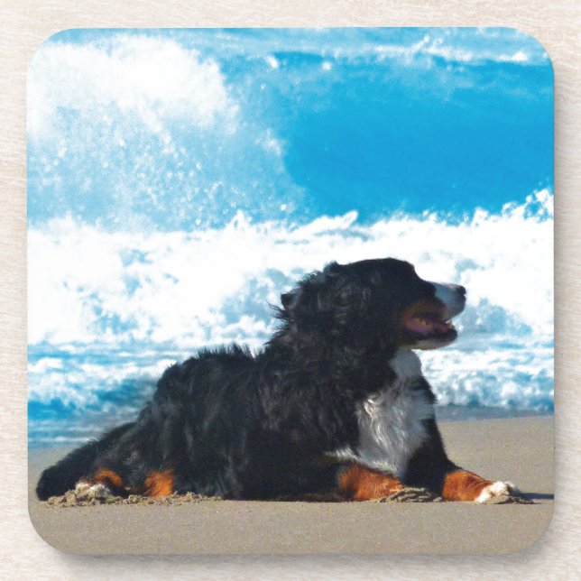 Posavasos Perro de montaña de Bernese en la playa (Frente)