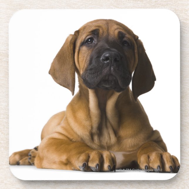 Posavasos Perro de perrito (Frente)