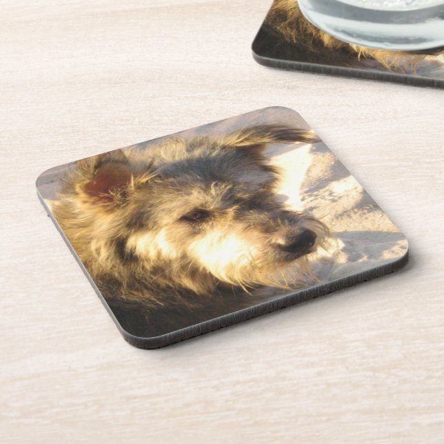 Posavasos Perro de playa tailandés (Lado Izquierdo)