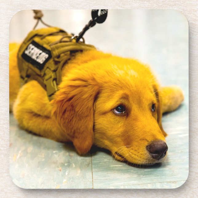 POSAVASOS PERRO DE SERVICIO MILITAR DE EE. UU. (Frente)