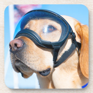 POSAVASOS PERRO DE TRABAJO MILITAR DE EE. UU.