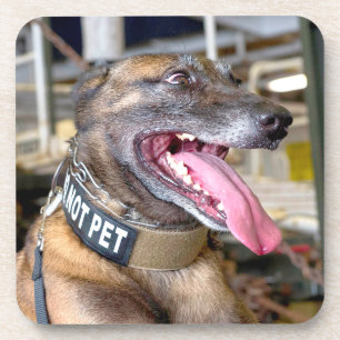 POSAVASOS PERRO DE TRABAJO MILITAR DE EE. UU.