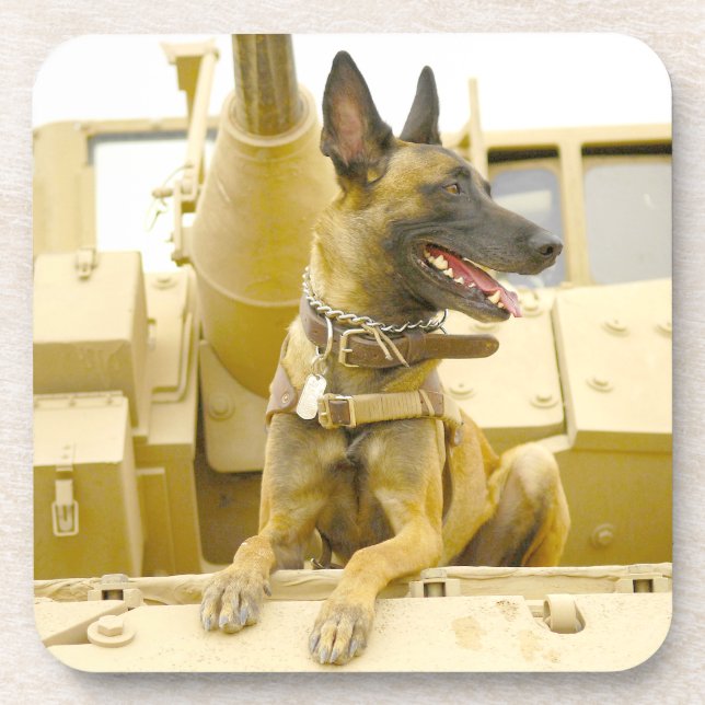 POSAVASOS PERRO DE TRABAJO MILITAR DE EE. UU. (Frente)