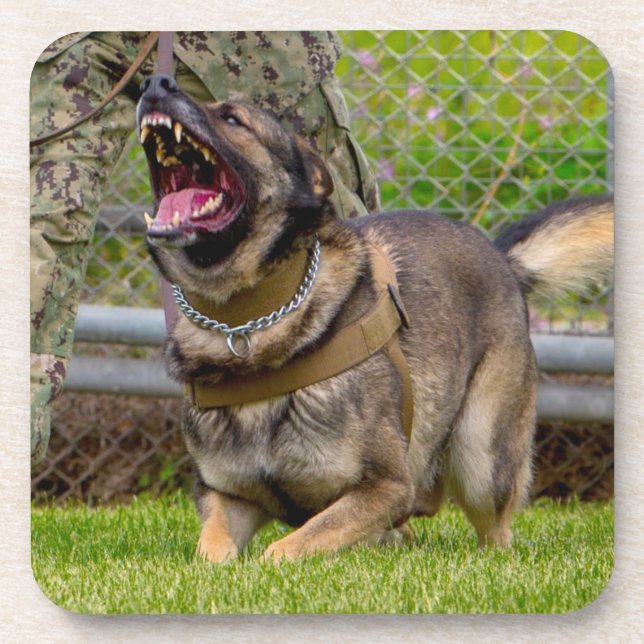 POSAVASOS PERRO DE TRABAJO MILITAR DE EE. UU. (Frente)