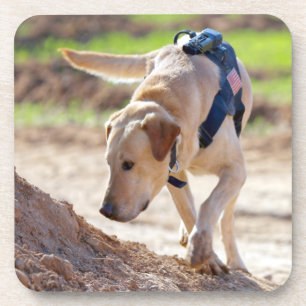 POSAVASOS PERRO DE TRABAJO MILITAR DE EE. UU.