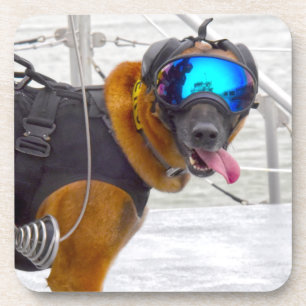 POSAVASOS PERRO DE TRABAJO MILITAR DE EE. UU.