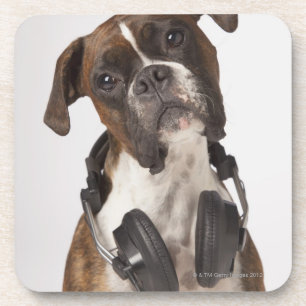 Posavasos perro del boxeador con los auriculares