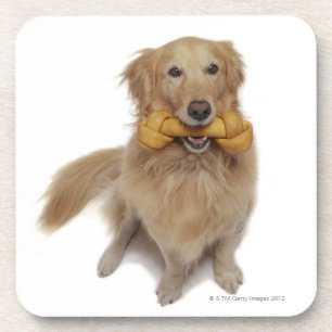 Posavasos Perro del golden retriever que sostiene el hueso