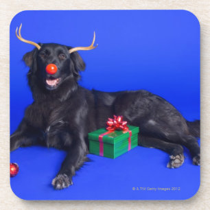 Posavasos Perro del navidad