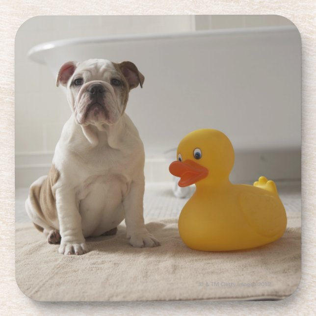 Posavasos Perro en la estera con el pato plástico (Frente)