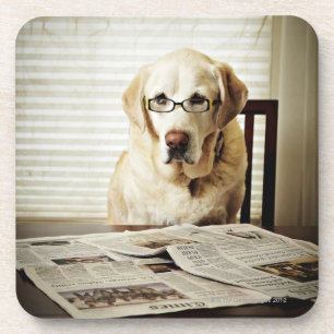 Posavasos Perro en rutina de la mañana