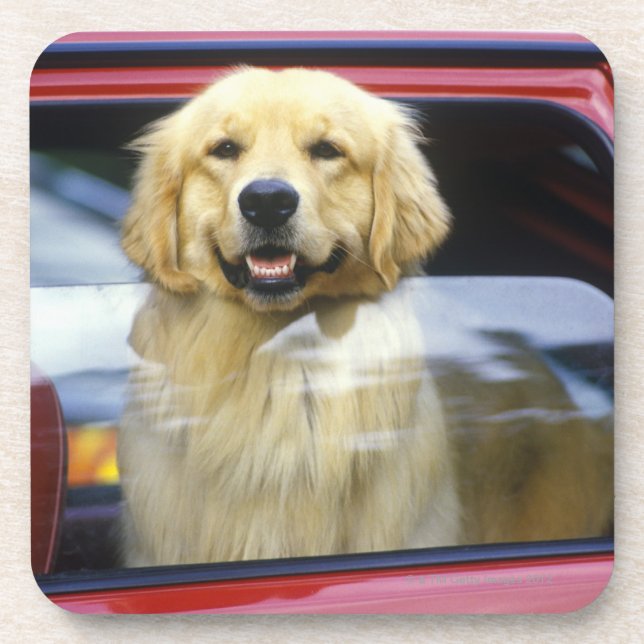 Posavasos Perro en ventanilla del coche roja (Frente)