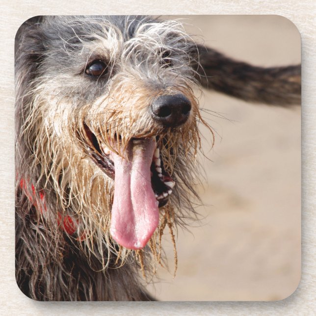 Posavasos Perro feliz en la playa (Frente)