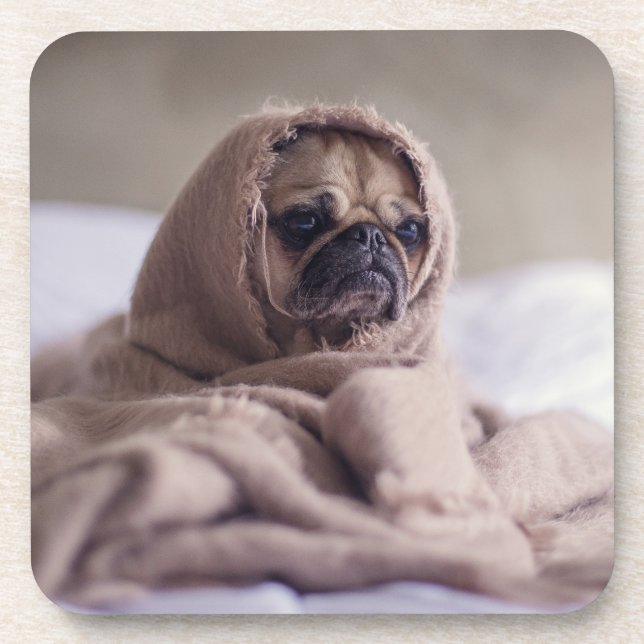 Posavasos Perro gracioso (Frente)