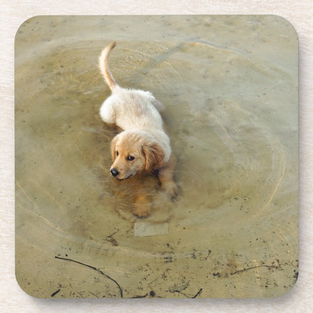 Posavasos perro lindo (Frente)