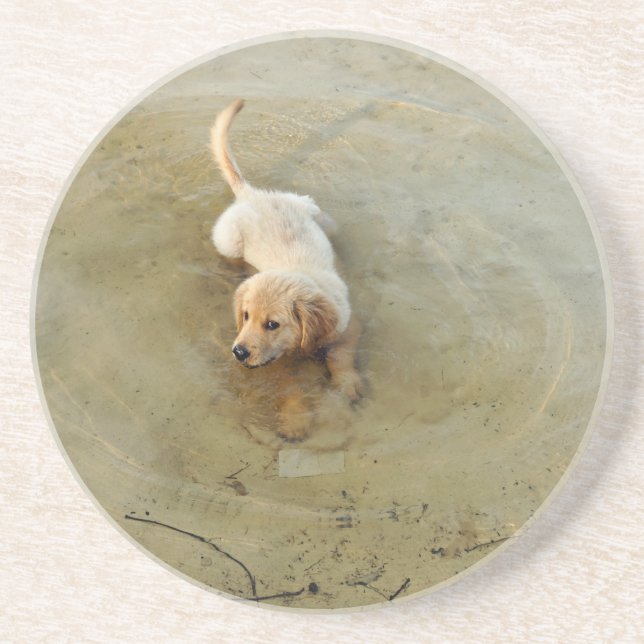 Posavasos perro lindo (Frente)